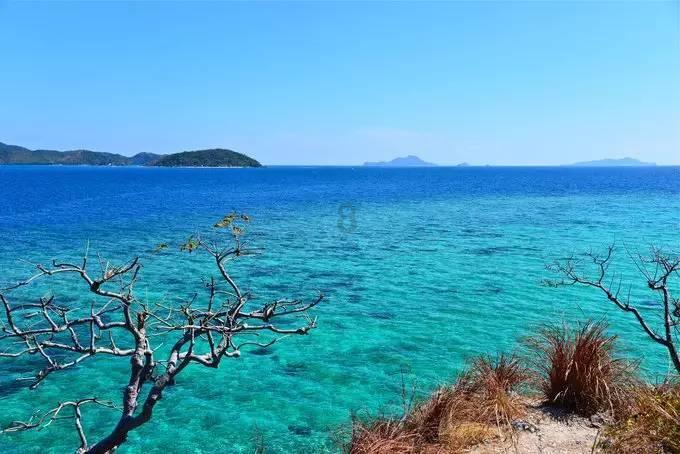 足协先找过渡主帅?旅美专家建议三大土帅,冠军教头+贾秀全