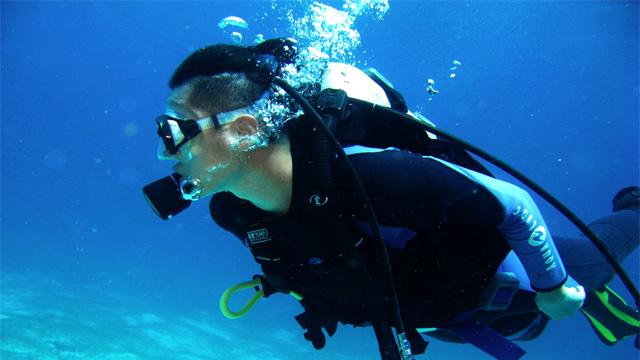 2700亩碧根果、36头大象……睢宁这个村瞒不住了!
