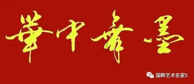 蓝狐视频