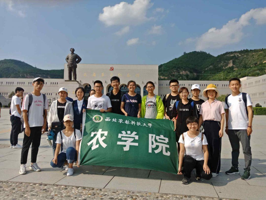 菲律宾南部降雨已致超49万人受灾