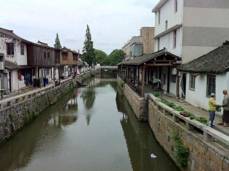莉莉逃脱记